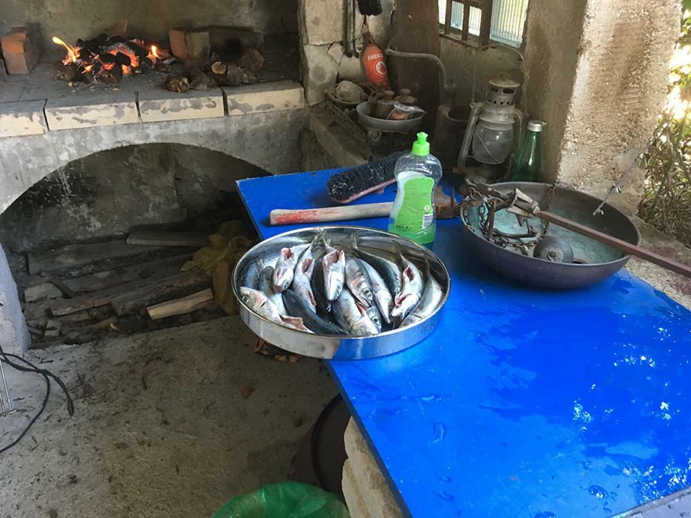 제제라 G.Bakovic 아파트 외부 사진